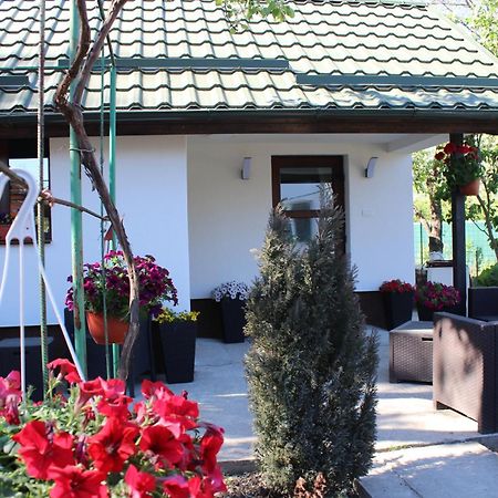 Casuta Artistilor Villa Breaza  Dış mekan fotoğraf