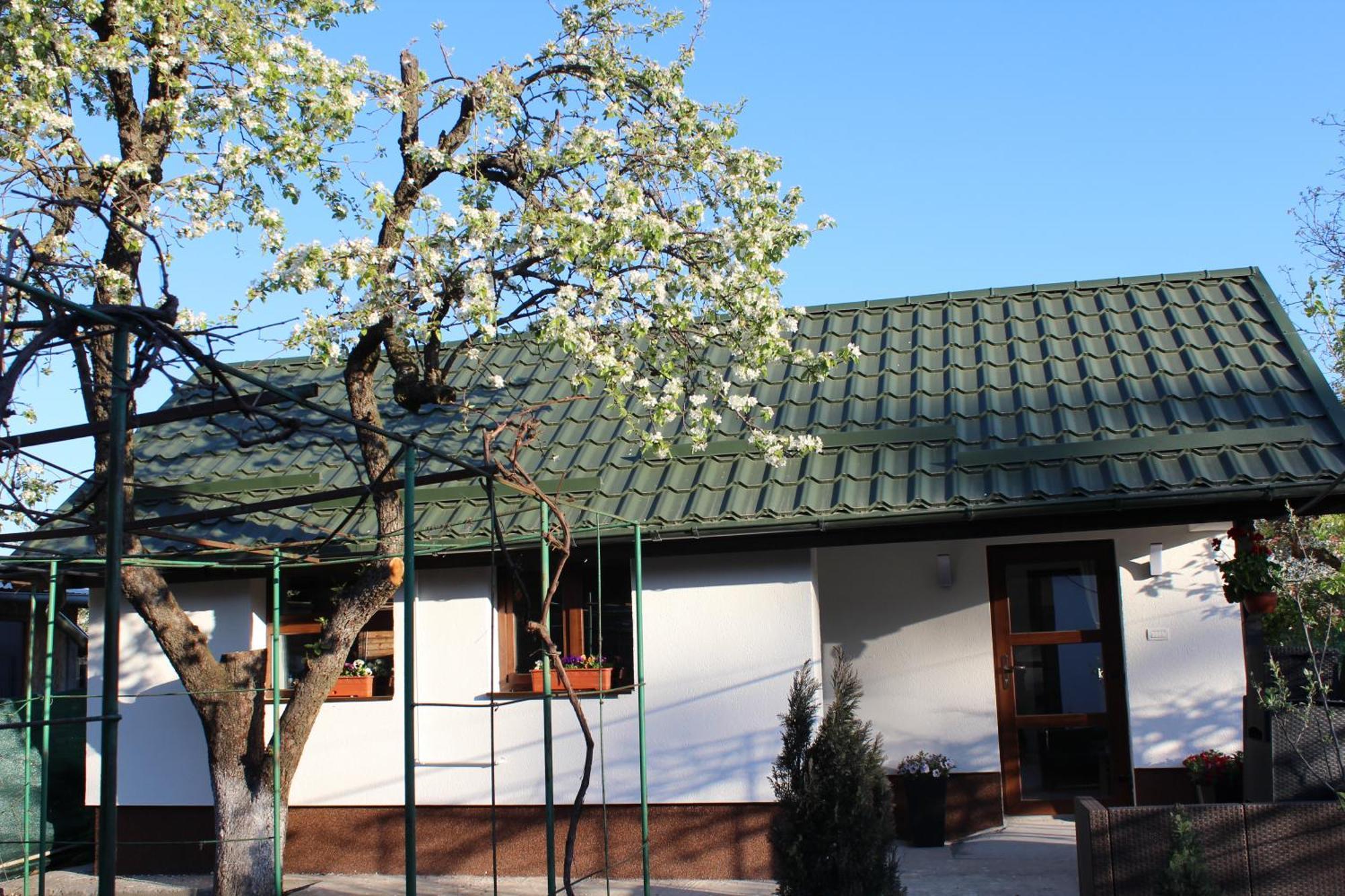 Casuta Artistilor Villa Breaza  Dış mekan fotoğraf