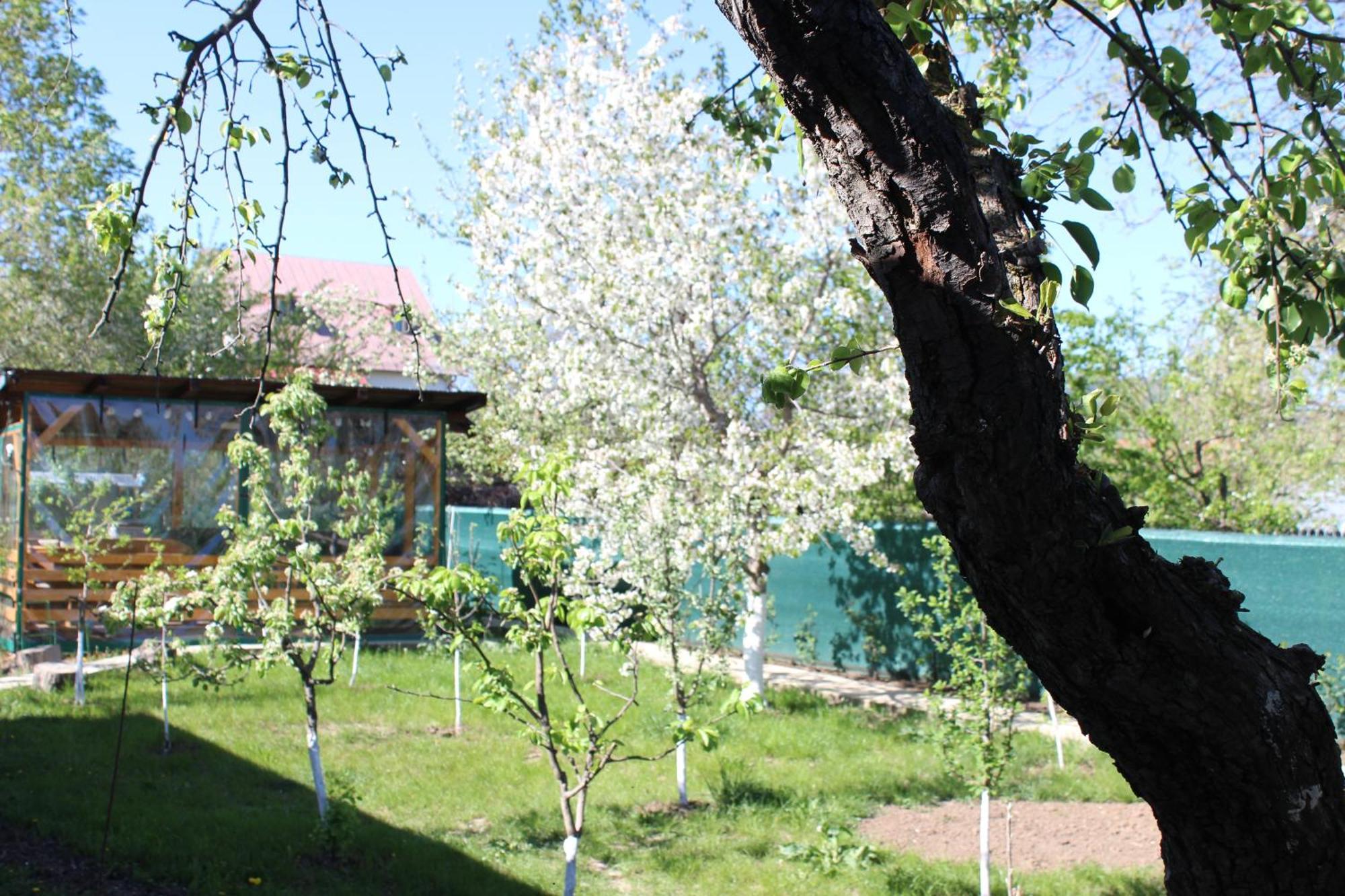 Casuta Artistilor Villa Breaza  Dış mekan fotoğraf