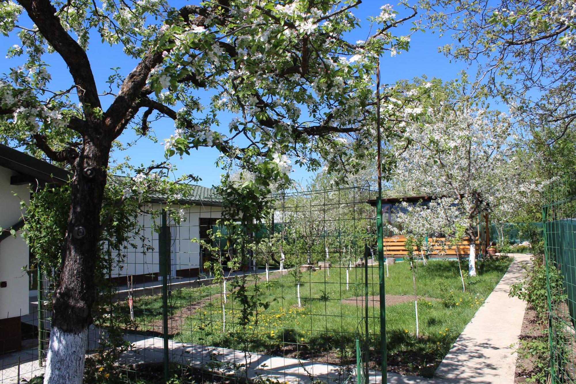 Casuta Artistilor Villa Breaza  Dış mekan fotoğraf